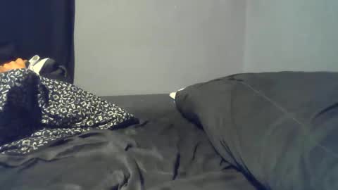 cheif online show from March 13, 12:40 am