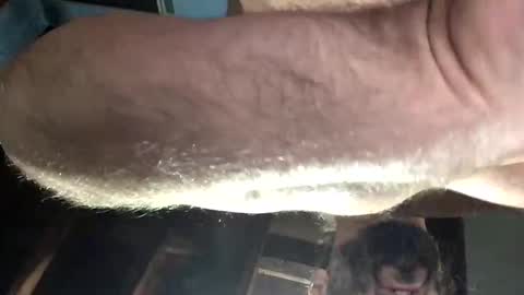 33adidas online show from November 16, 11:12 am