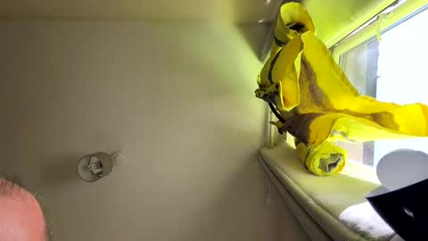 5ar5rooooov online show from April 22, 8:19 am