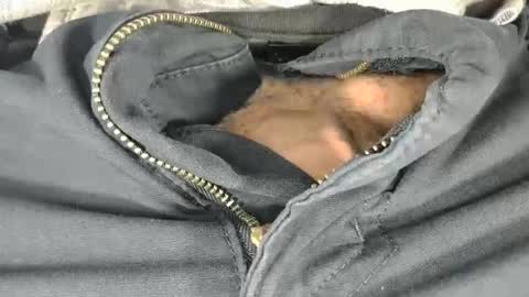 6mehere9 online show from November 19, 5:35 pm