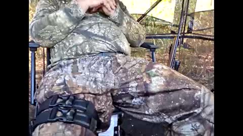 78nighttrain online show from November 8, 5:38 pm