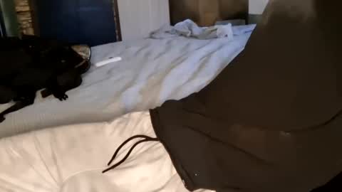 7lairddip online show from April 5, 5:37 am