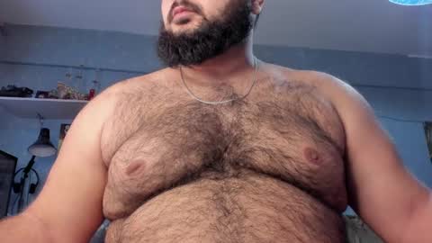Snapshot of _alan_bear_ chatting on January 26, 11:28 am Alan online show from January 26, 11:28 am