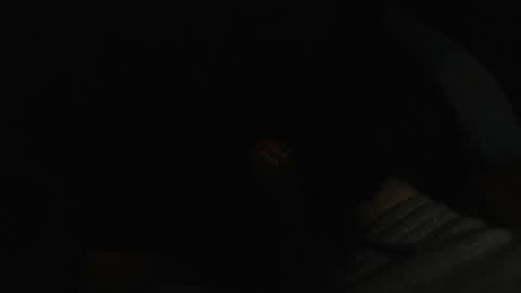 bree x3 online show from February 21, 3:01 am