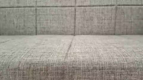 XXL online show from February 8, 8:42 am