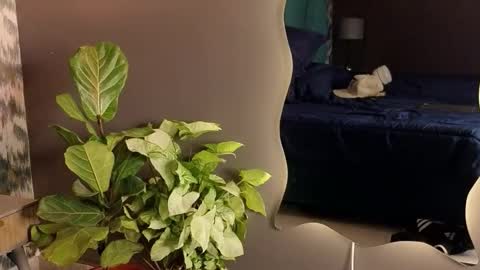 Aaron Ezequiel online show from November 22, 10:09 pm