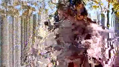 acexx8124 online show from February 23, 2:08 pm