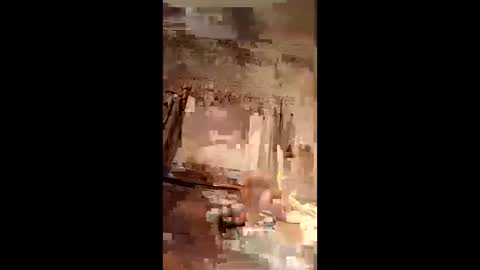 adam51521 online show from April 4, 1:08 pm