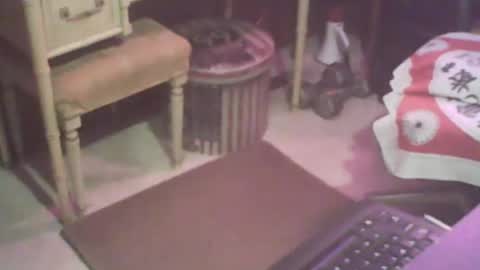 adamsny online show from February 7, 8:33 am