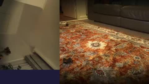Handy JIm online show from May 3, 12:52 pm