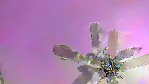 Tom online show from January 15, 7:48 am