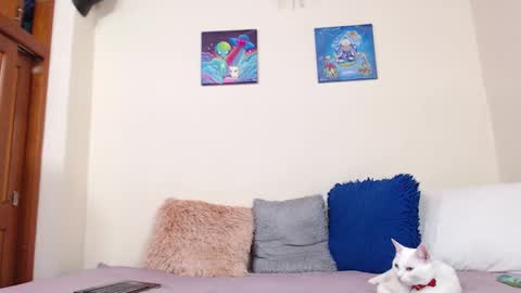 Snapshot of aliceusher_1 chatting on September 14, 2:41 pm J Ruiz online show from September 14, 2:41 pm