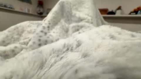 aliosis1 online show from April 20, 3:20 am