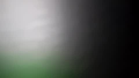 alostmale online show from February 20, 7:34 am