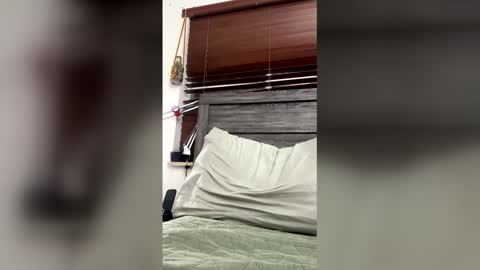 JD online show from January 14, 12:04 am