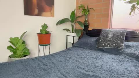 Andy online show from February 25, 3:24 pm