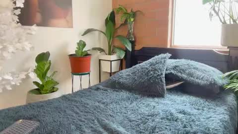 Andy online show from February 12, 6:14 pm