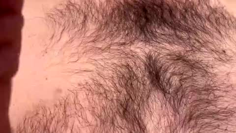 anonomousloser online show from April 15, 9:15 pm