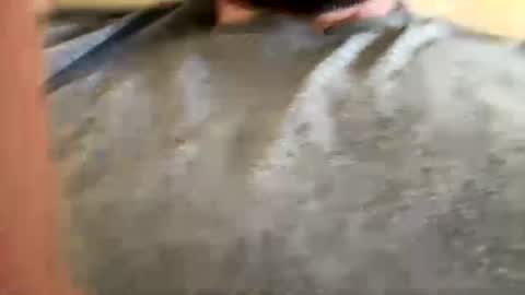 anonomousloser online show from November 6, 2:53 pm