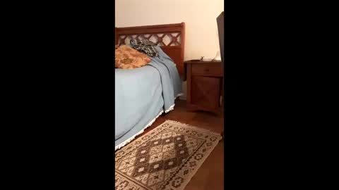 antonino85 online show from April 25, 9:45 pm