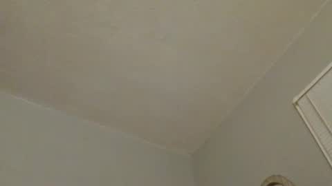 Daddy online show from November 19, 2:00 am