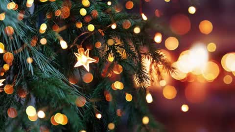 natra online show from December 23, 6:16 pm