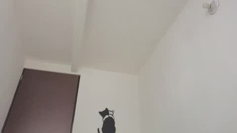   online show from November 7, 11:13 am