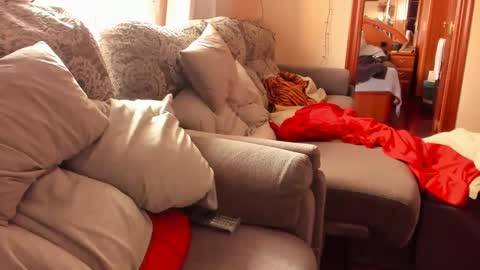 Troy online show from December 14, 1:27 pm