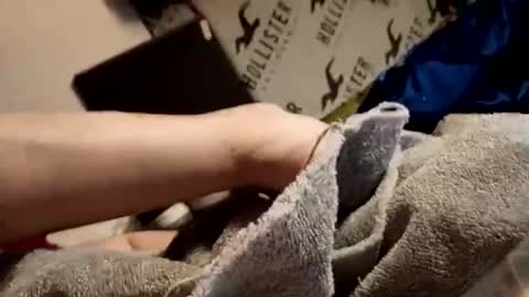 assuming8669 online show from March 1, 4:01 am