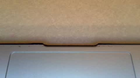 Athletedilf  dilf new cum  shy online show from January 24, 2:07 am