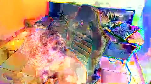 Alex online show from March 2, 10:55 am