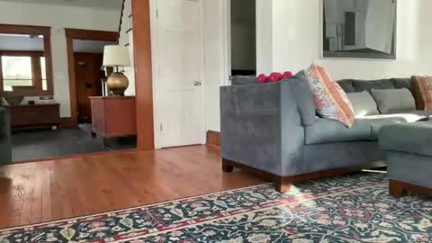 avgdiver online show from February 12, 8:59 pm