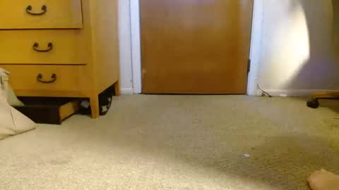 Snapshot of awizr chatting on February 22, 12:27 am awizr online show from February 22, 12:27 am