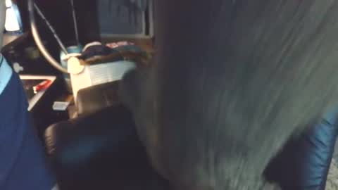 Badboy95 online show from March 23, 6:25 pm