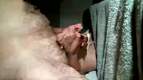 balthazar7676 online show from December 3, 3:22 pm