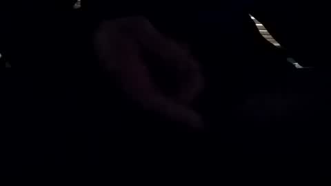 baobabtree8 online show from December 7, 3:25 am