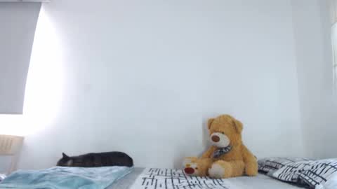 Bastian Maalouf  online show from January 13, 8:37 pm