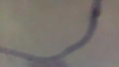 BB Namelezz online show from March 10, 9:26 am