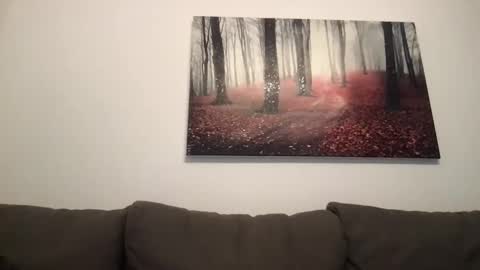 ben117 online show from February 22, 11:35 am