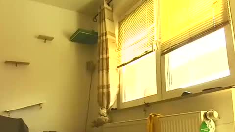 Benutzmich0800 online show from February 28, 11:03 am