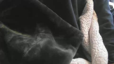 benx12123 online show from February 16, 6:21 pm