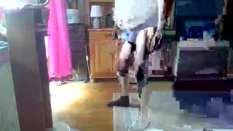 bestmann979994 online show from May 31, 2:05 pm