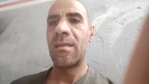 Cock arabic Authentic online show from June 4, 12:00 pm