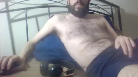 bibotguy online show from December 31, 12:21 am