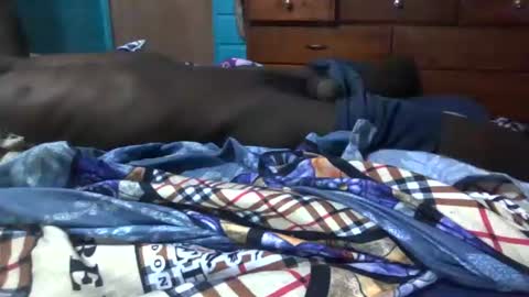 big365754 online show from August 3, 4:13 pm