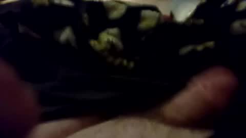 Weeny Houdini online show from September 11, 12:31 am