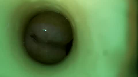 bigmoneycorey online show from April 16, 6:08 pm