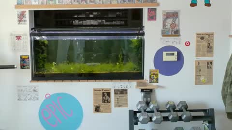 Jarvis online show from February 12, 4:44 pm