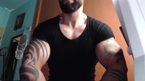 BigStallion online show from December 1, 11:52 pm