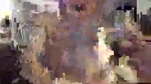 Bill online show from February 15, 3:46 am